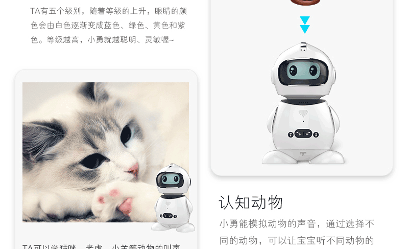 乐乐勇机器人